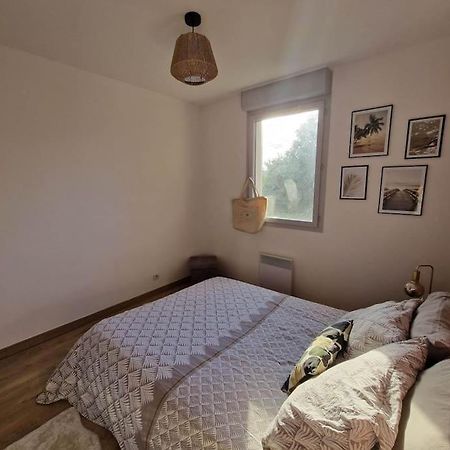 Appartement Cosy Oloron, Aux Pieds Des Pyrenees Et De L'Atlantique! エクステリア 写真