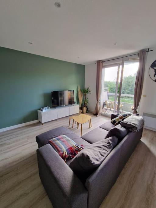 Appartement Cosy Oloron, Aux Pieds Des Pyrenees Et De L'Atlantique! エクステリア 写真